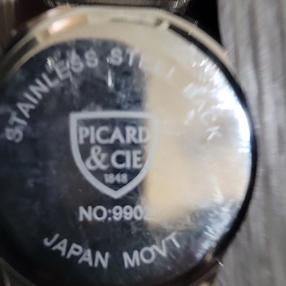 Picard And Cie Pearl Face Silver Mesh Strap Men's Watch